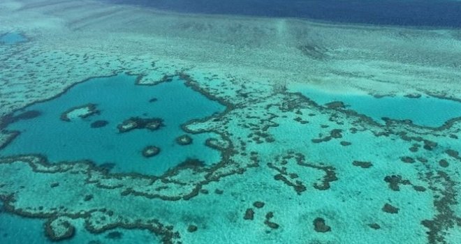 Koralji širom svijeta postaju bijeli, umiru zbog drastičnih temperatura, voda na obali Floride poput vrele kupke