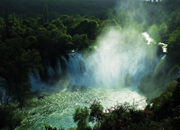 hercegovina kravice