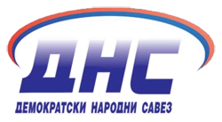 dns-logo