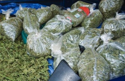 marihuana-zaplijena