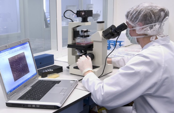 Laboratorijska analiza-matične ćelije