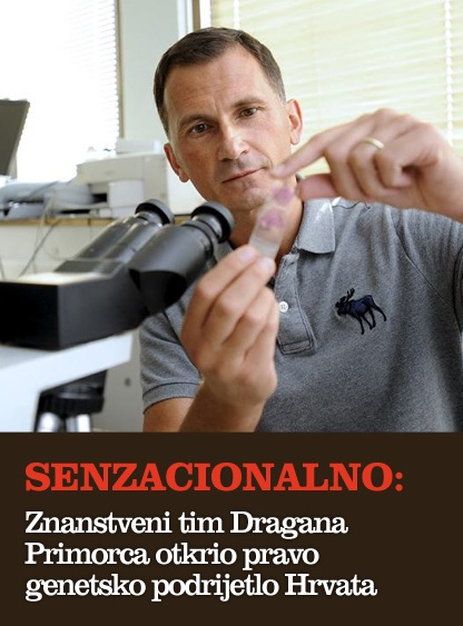dragan primorac