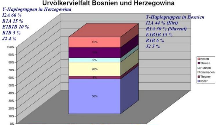 genetic_grafikon2