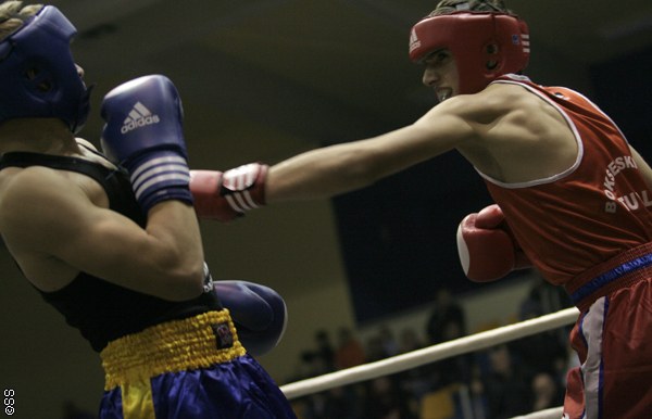 Braća Kadić