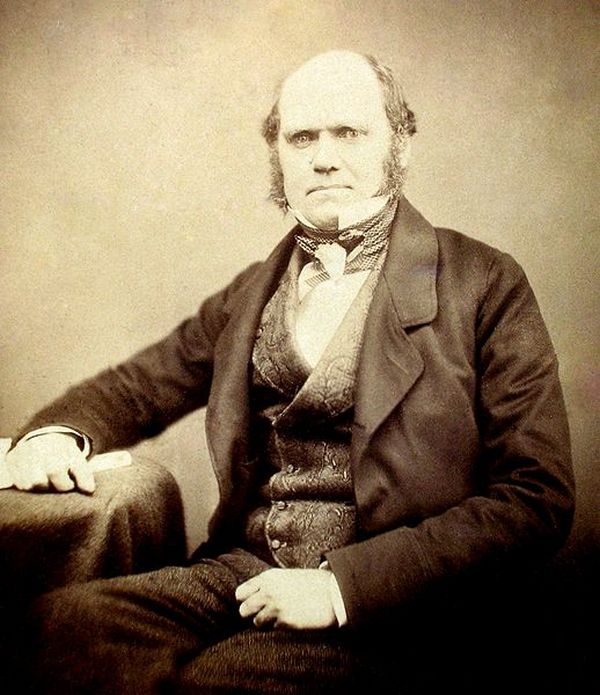 darwin