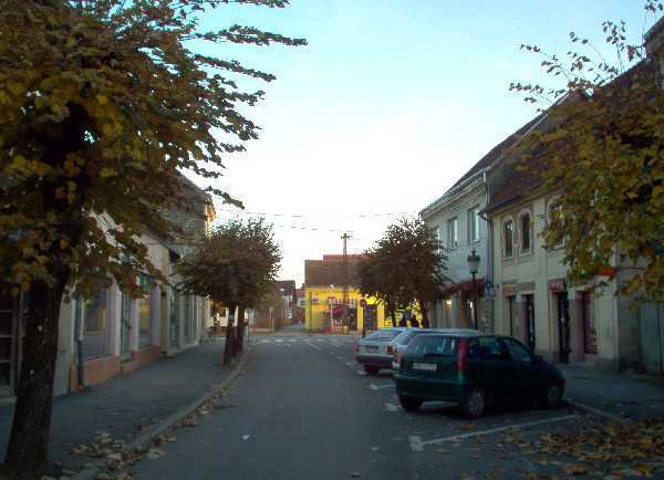 kozarska dubica