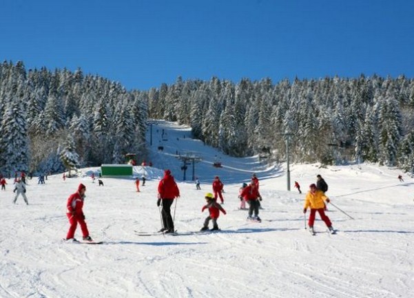 kupres cajusa