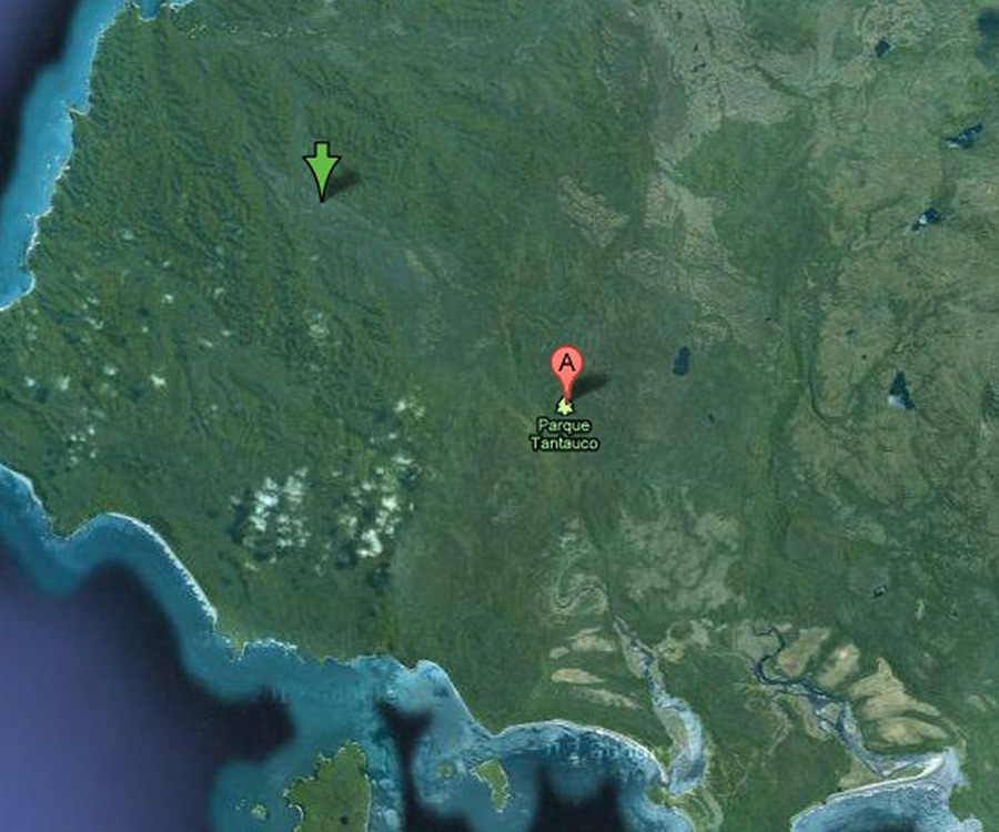 google mape4