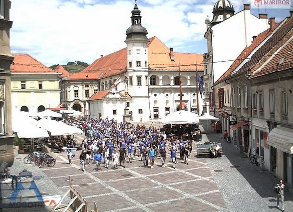 zeljini navijaci maribor