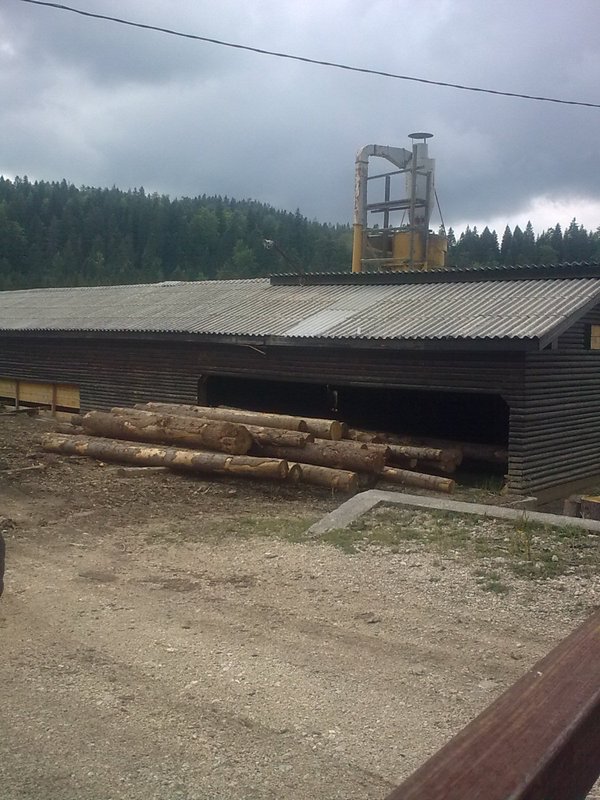 rogatičke smrče