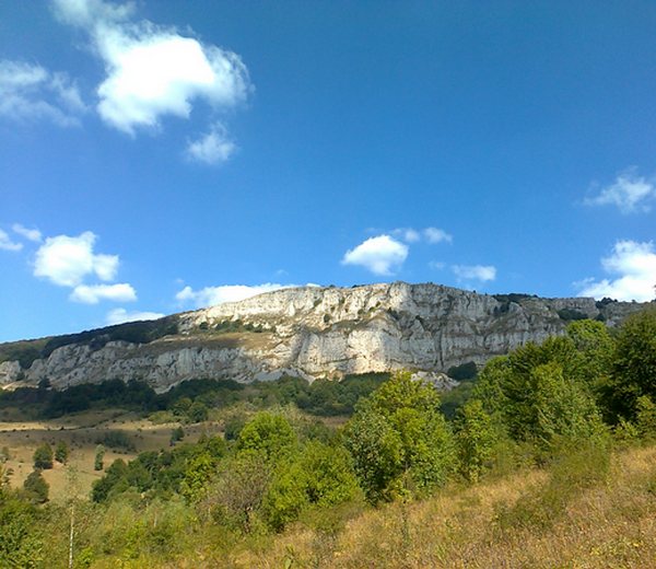 BELJANICA