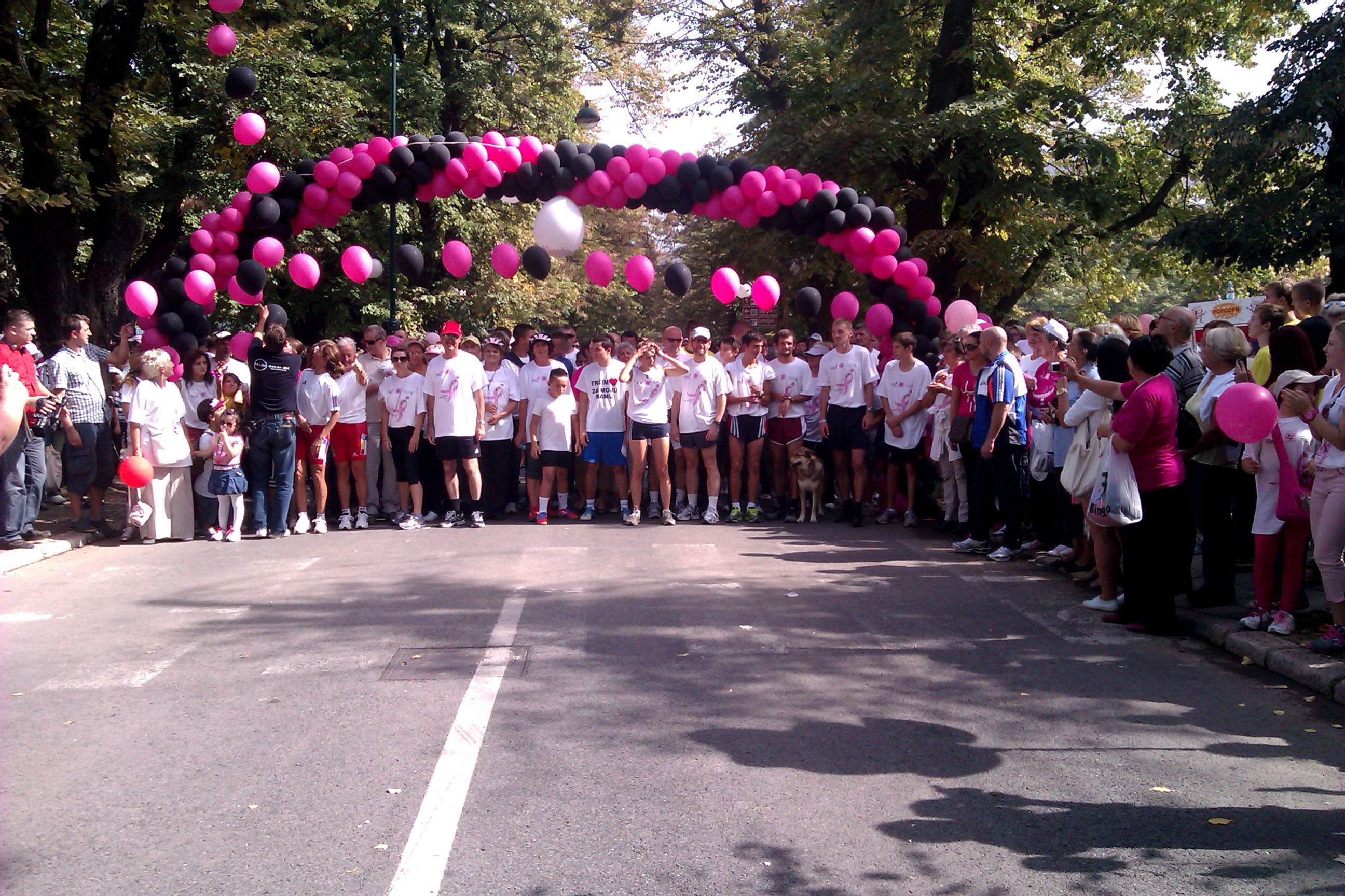 Race for the cure 2012 u Sarajevu