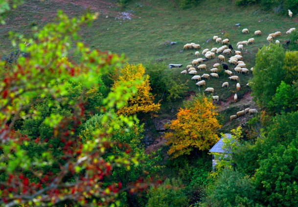 Jesen na Bjelašnici / Foto: Anadolija