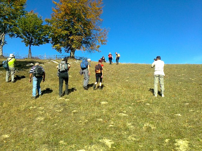 GVOZDAČKE STIJENE, SOKOLINA