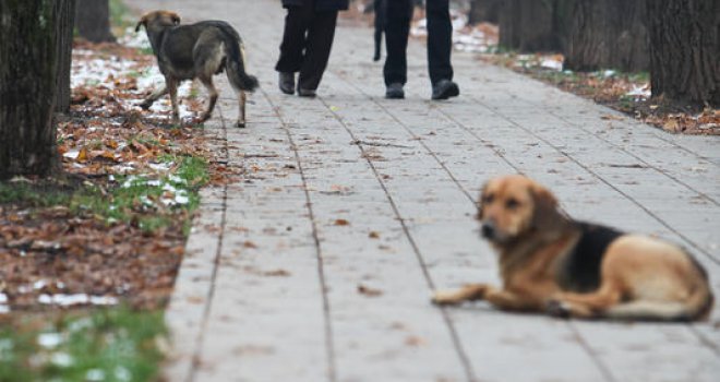 Šinteraja više ne može biti, rješenje je u primjeni državnog zakona