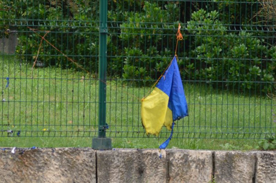 zapaljene-zastave-bih-u-mostaru-1