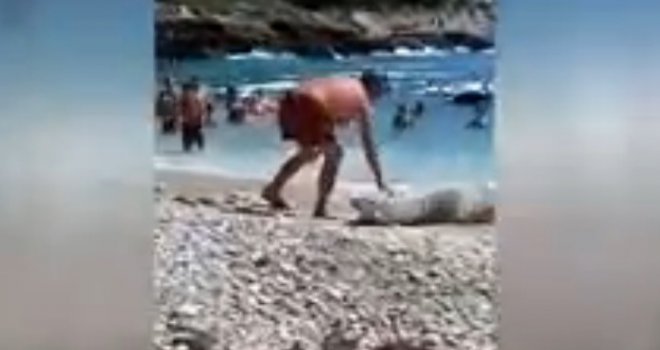 Radoznalost na plaži: Pogledajte zbog čega je ovaj Makedonac protjeran iz Hrvatske na pet godina!
