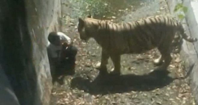 Tigar raskomadao mladića u ZOO vrtu!