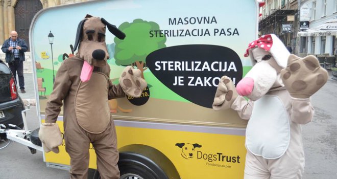 Uspješno provedena prva faza masovne sterilizacije pasa u Sarajevu