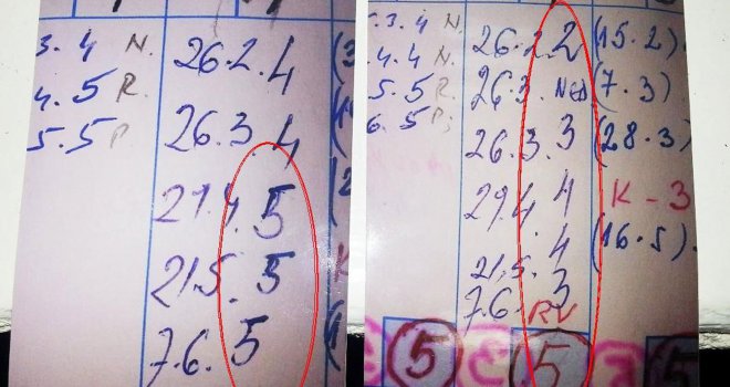 Umjesto trice, petica: Prepravljali ocjene u dnevniku!