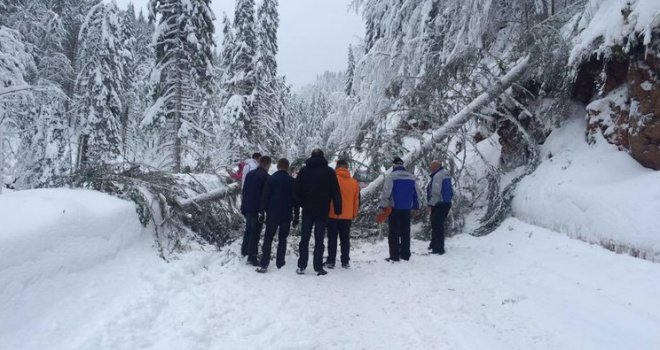 Mokar snijeg oborio drvo na cestu Pale - Jahorina