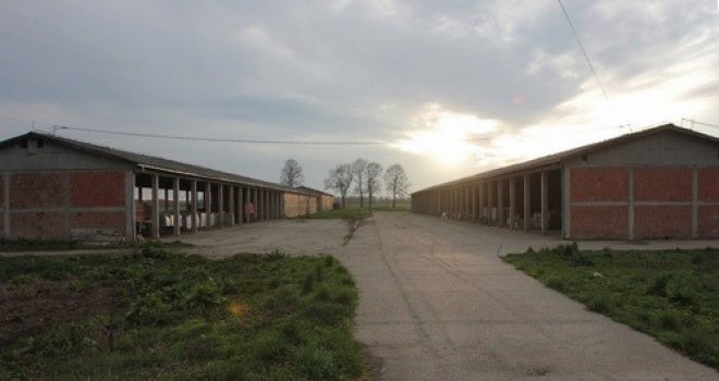 Preživjeli logoraš: Pokušavao sam nasilu da umrem, još i danas sanjam kako mi stavljaju pušku na čelo...