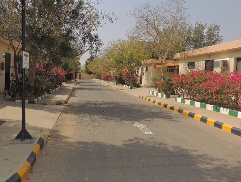 dzeda3