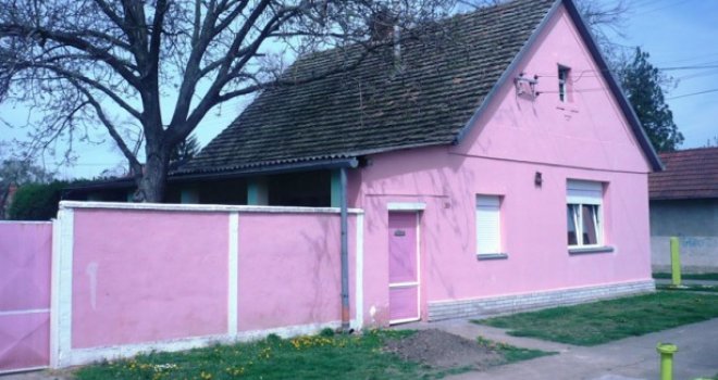 Čudo u Srbiji: Orah 'popio' milion litara vode?