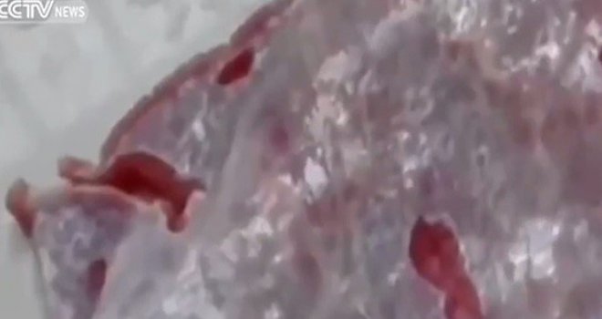 A kako biste vi reagovali da vam posluže čudnovato živ 'zombi' odrezak?!