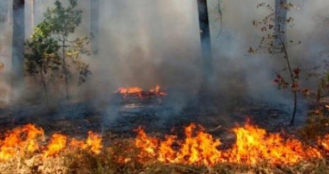 Vatrena stihija četiri dana guta okolicu Trebinja: Vatrogasci danonoćno na terenu