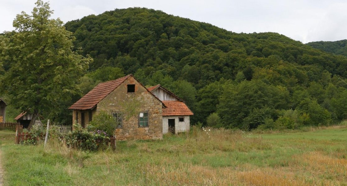 selo-strigova-zlato-4