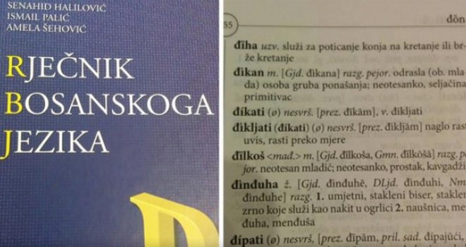 Kako Senahid Halilović opisuje riječ 'đikan'?