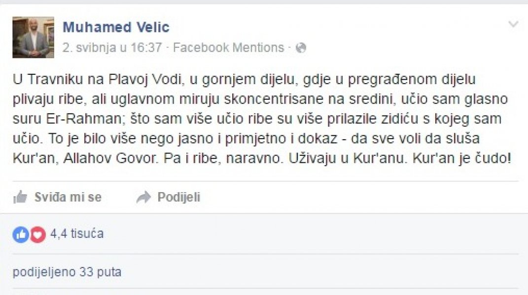 ribe-muhamed-velic