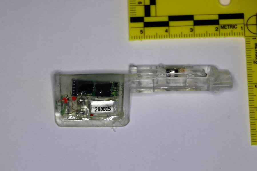 skimmer