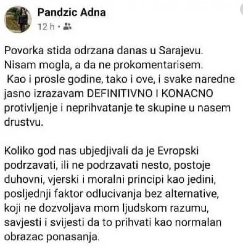 adna-pandzic-status