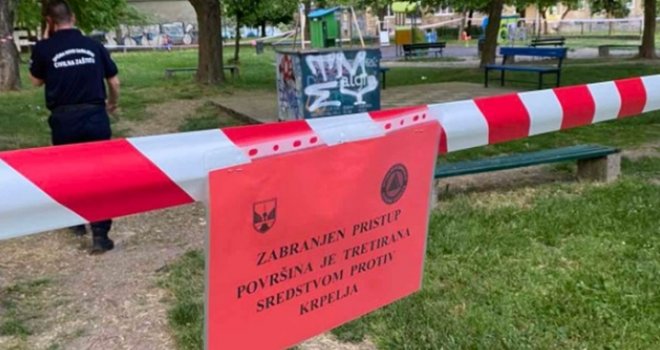 Počela je sezona krpelja: Kako ga pravilno ukloniti i kada otići ljekaru