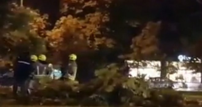 Baš je puhalo u Sarajevu: U Pofalićima oboreno stablo, vjetar nosio sve pred sobom