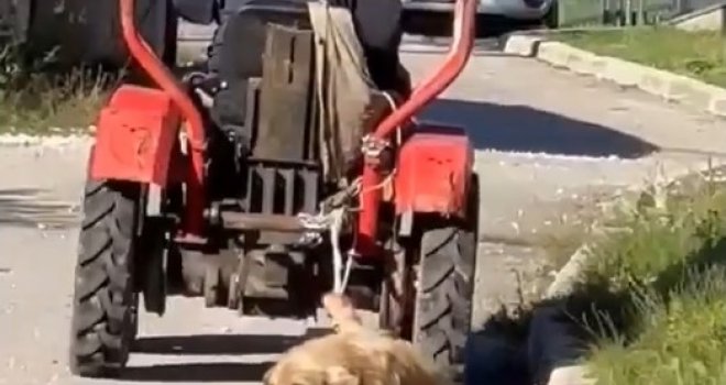 Podignuta optužnica protiv muškarca koji je ubio i vukao psa traktorom na Istočnoj Ilidži