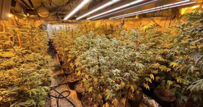Nova hapšenja u Sarajevu: Pronađena droga milionske vrijednosti, otkrivene višeetažne, indoor laboratorije...