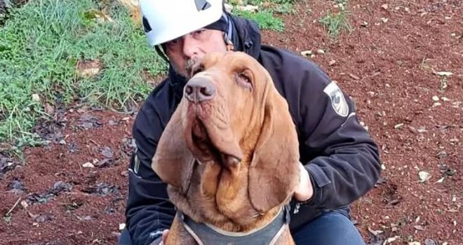 Odlikovani pas heroj, koji je spasio devet života, brutalno ubijen kobasicama sa ekserima