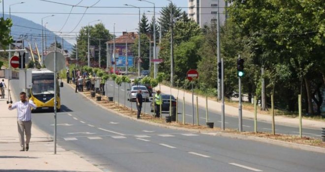 Nastavlja se ozelenjavanje: Skoro stotinu novih stabala duž Bulevara Ivice Osima