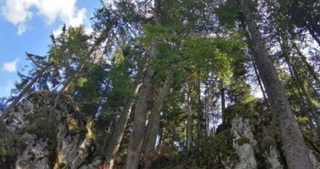 Nakon što je spašen od izgradnje, sarajevski park Crni vrh u opasnosti od propadanja i uništavanja