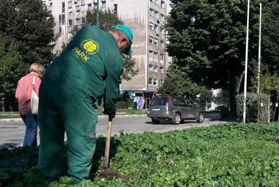 suma-zaboravljenih-mirisa